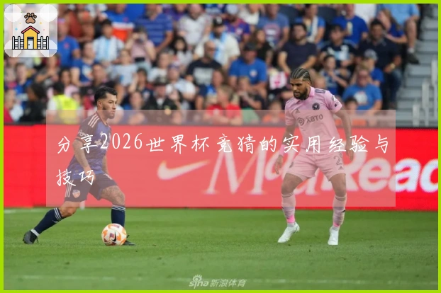 分享2026世界杯竞猜的实用经验与技巧