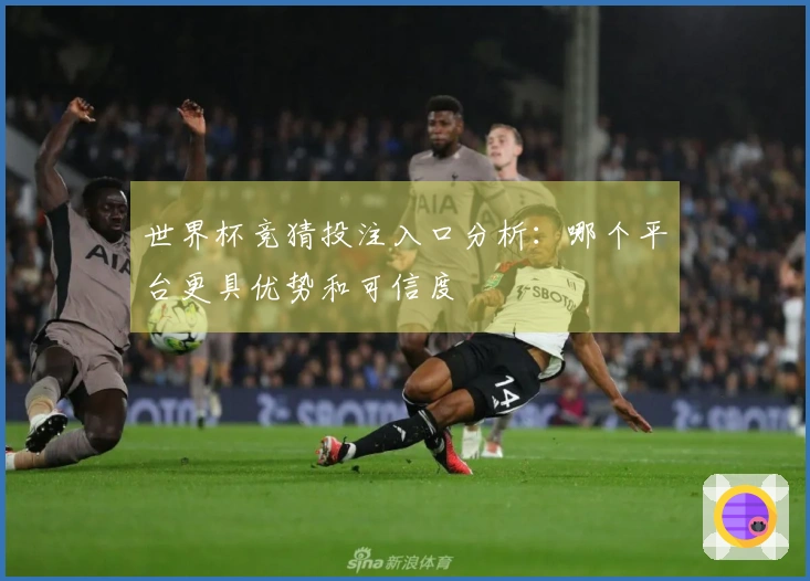 世界杯竞猜投注入口分析：哪个平台更具优势和可信度