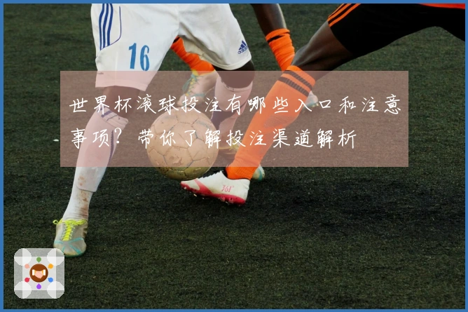 世界杯滚球投注有哪些入口和注意事项？带你了解投注渠道解析