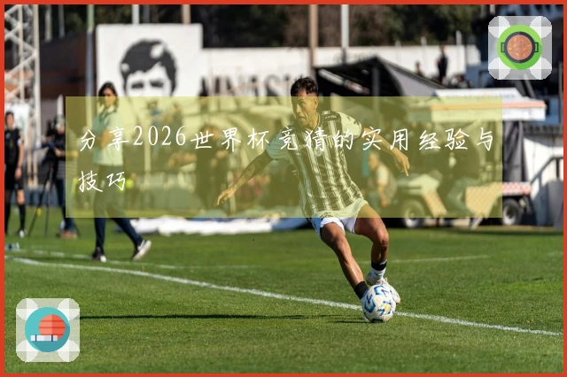 分享2026世界杯竞猜的实用经验与技巧
