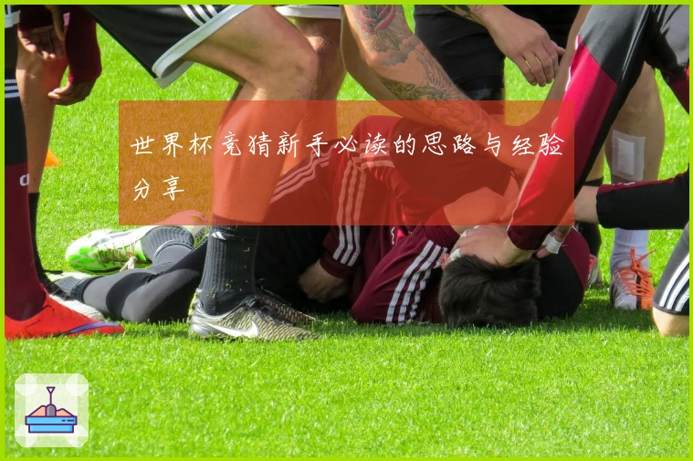 世界杯竞猜新手必读的思路与经验分享